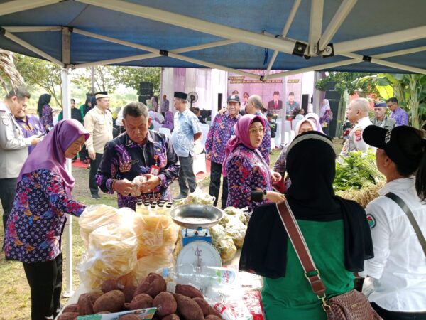 Wakil Bupati Serahkan Bantuan Sarana Produksi Kunyit dan Jahe ke 19 Poktan di Desa Sodong